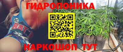 дурь Усть-Джегута