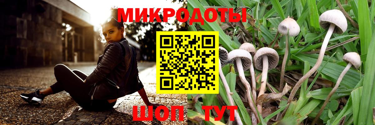 Амурск  Псилоцибиновые грибы GOLDEN TEACHER  Вход с VPN 